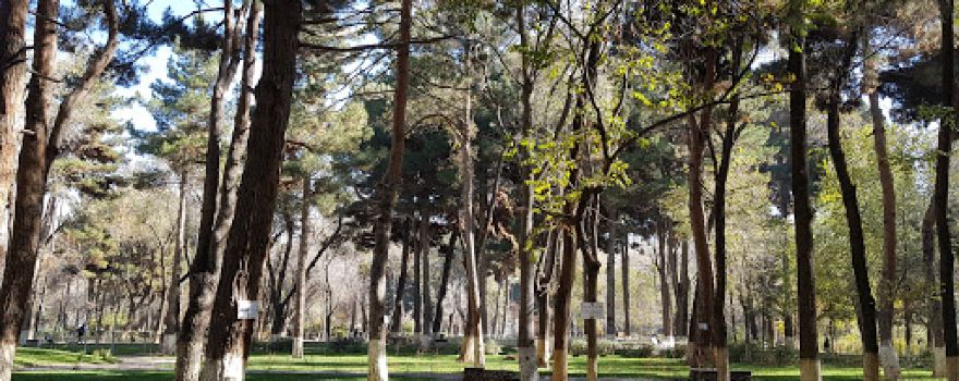 Shahr-e Naw Park