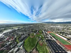 Harrison Stadium