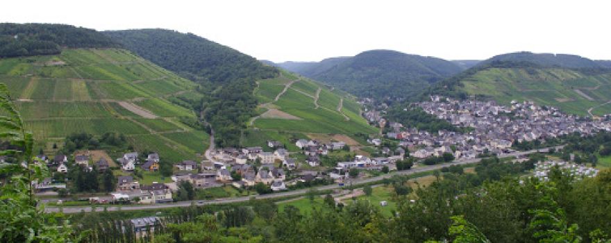 Weingut Rueff-Röchling