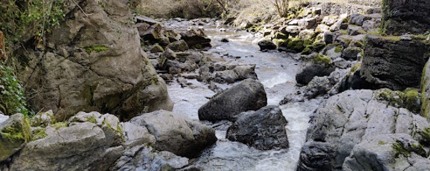 Dinas Rock