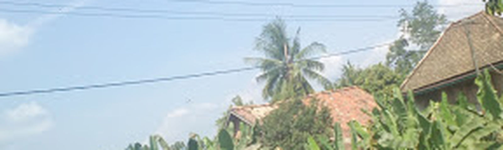 travel