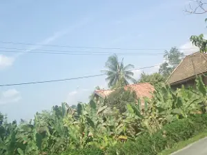lapangan bola Jambu Ilir