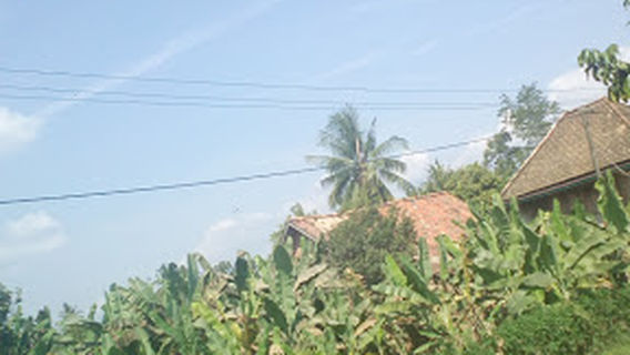 Jambu Ilir