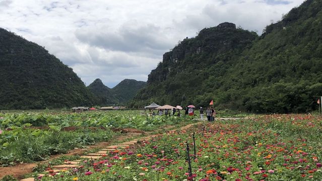 Baihua Valley Scenic Area