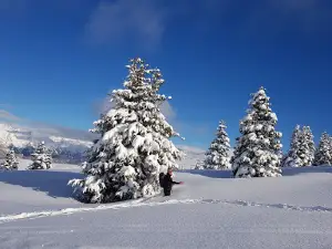 Parco dell'Alto Sebino