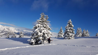 Parco dell'Alto Sebino