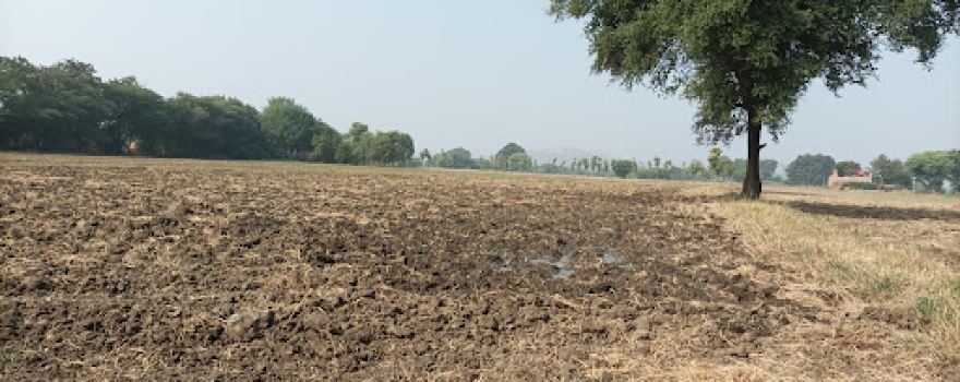 Kushwaha Farm House