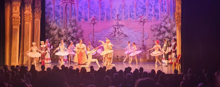 Theater De Willem