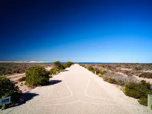 Head Of The Bight Lookout