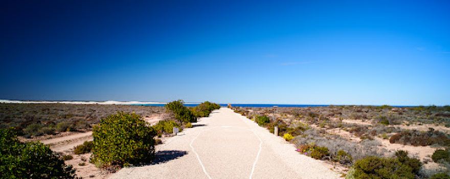 Head Of The Bight Lookout