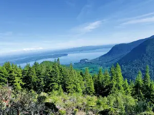 Mt. Walker Viewpoint