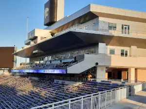 Bill Snyder Family Stadium