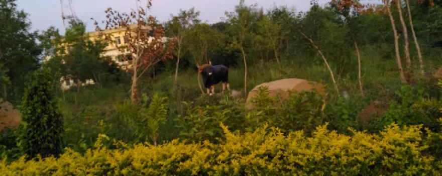 Biloli Park