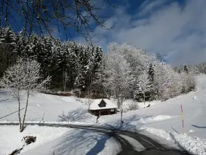 Schneeberglifte-Waldau