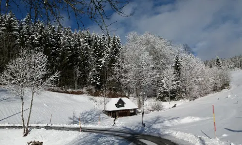 Schneeberglifte-Waldau