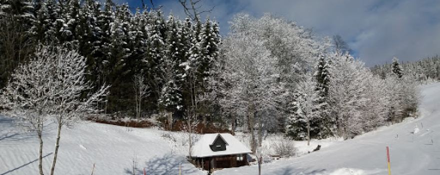 Schneeberglifte-Waldau