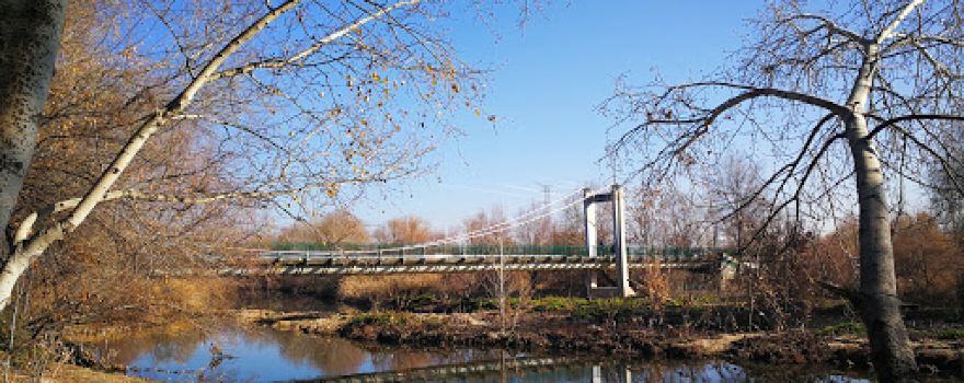 Paseo de los Chopos