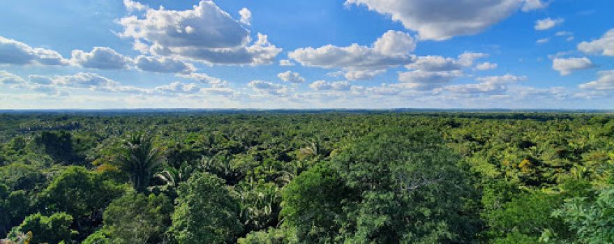 High Temple, Lamani, Belize