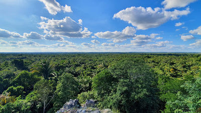 Lamanai & Belize Adventure Tours