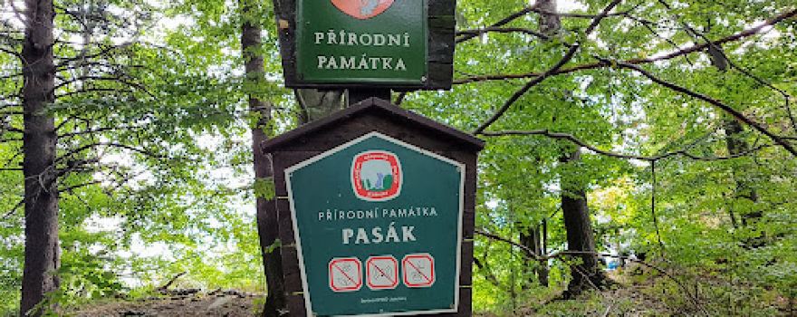 Pasák