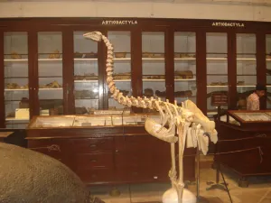 Indian Museum
