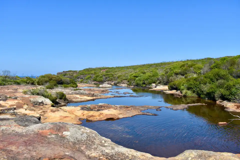 5_Royal National Park