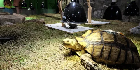 Austin Aquarium