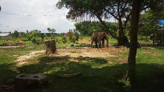 Kasang Kulim Zoo