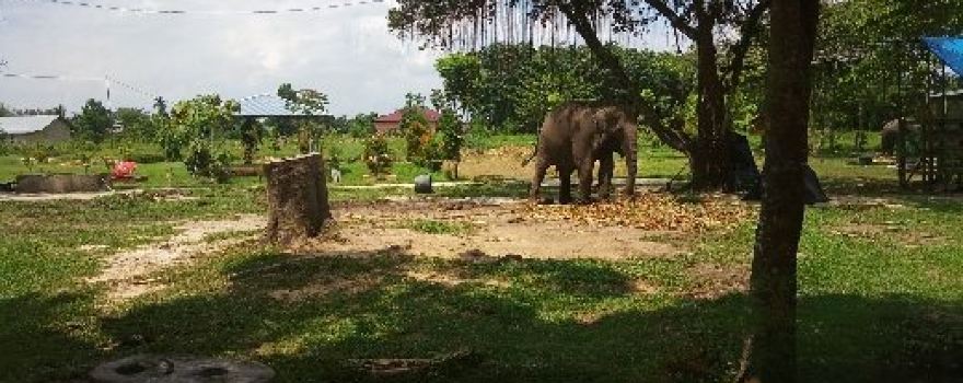 Kasang Kulim Zoo