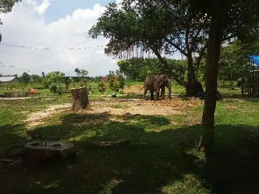 Hotel dekat Kolam Pancing Pak Wo, Kubang Raya, Panam