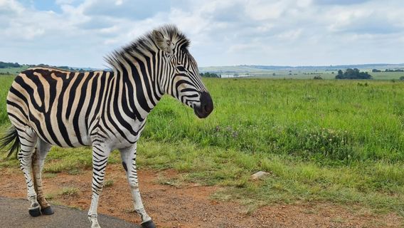 Rietvlei Nature Reserve