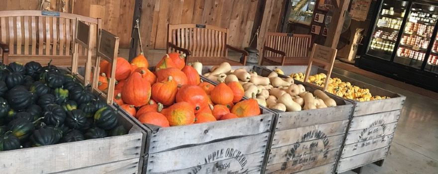 Edwards Apple Orchard