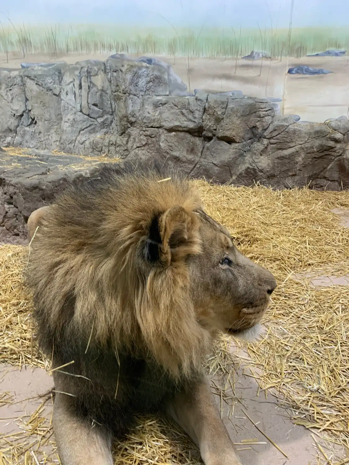 Hotels near Potter Park Zoo