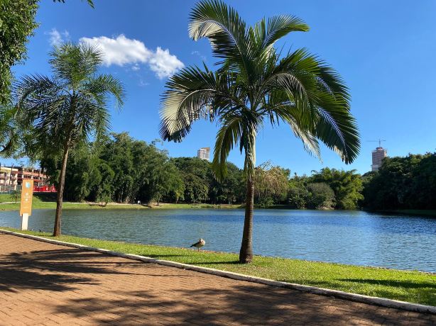 Areiao Park
