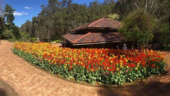 Araluen Botanic Park