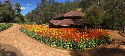 Araluen Botanic Park