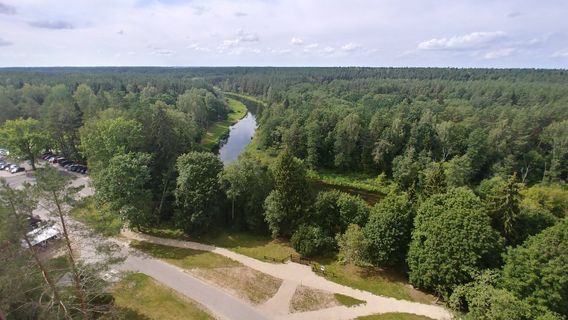 Treetop walking path and information centre