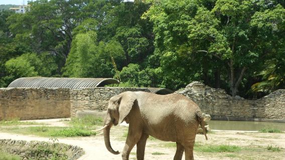 Caricuao Zoo