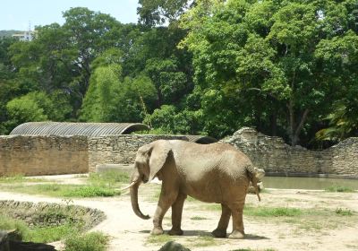 Zoologico de Caricuao