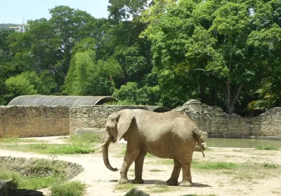 Zoologico de Caricuao
