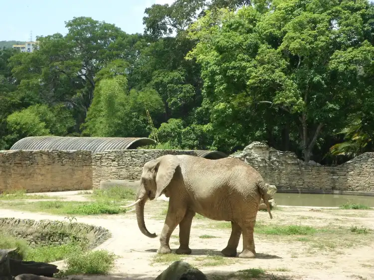 Hotels near Zoologico de Caricuao