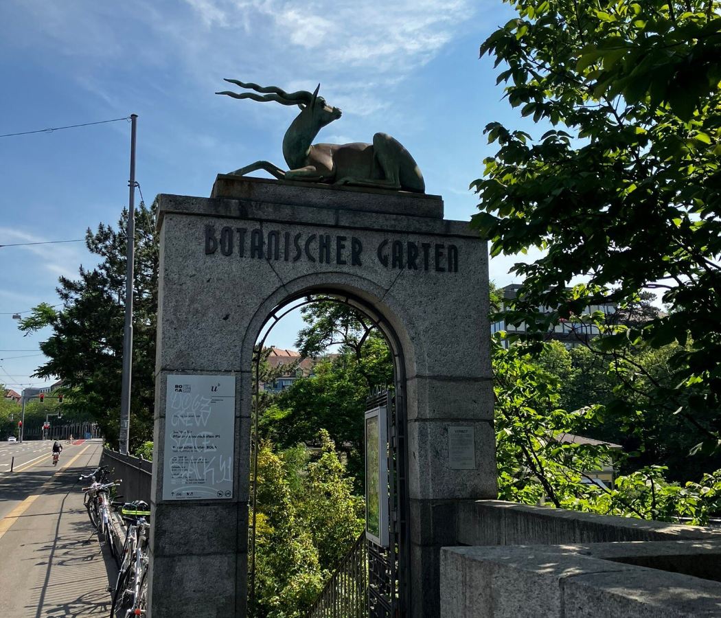 Breitenrain-Lorraine