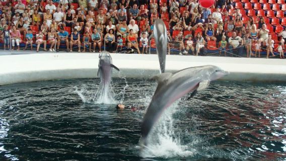 Dolphinarium Varna