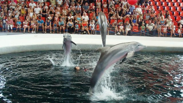 Dolphinarium Varna