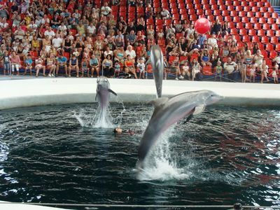Dolphinarium Varna