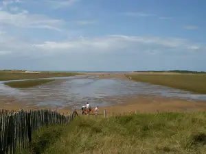Holkham National Nature Reserve