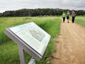 Birch Coulee Battlefield