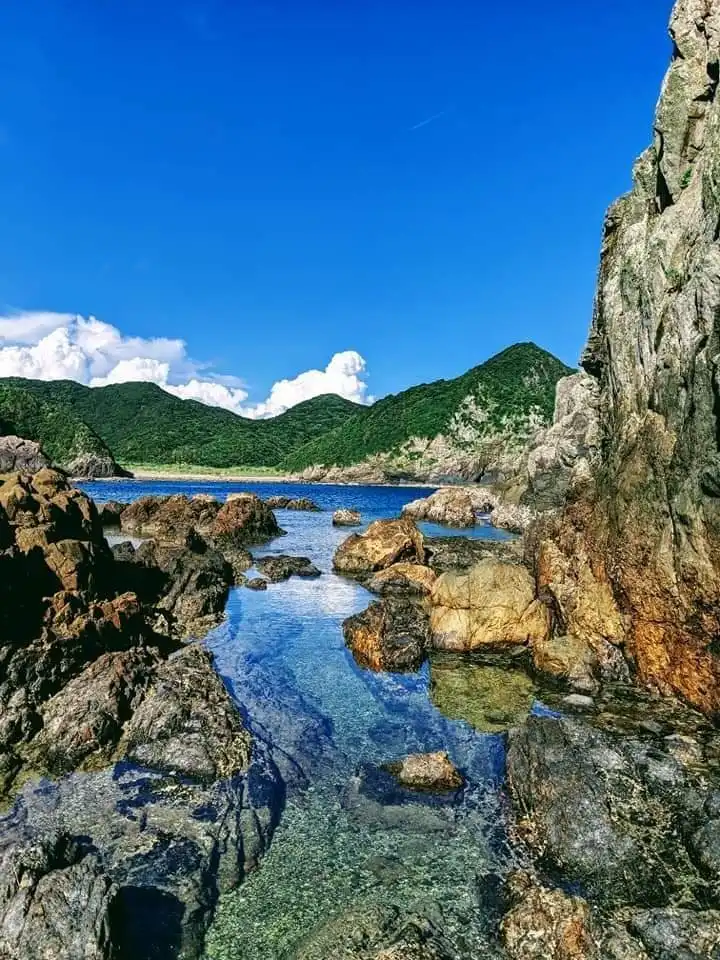 イズノオドリコ（南さつま市加世田内山田の一本桜）周辺のホテル
