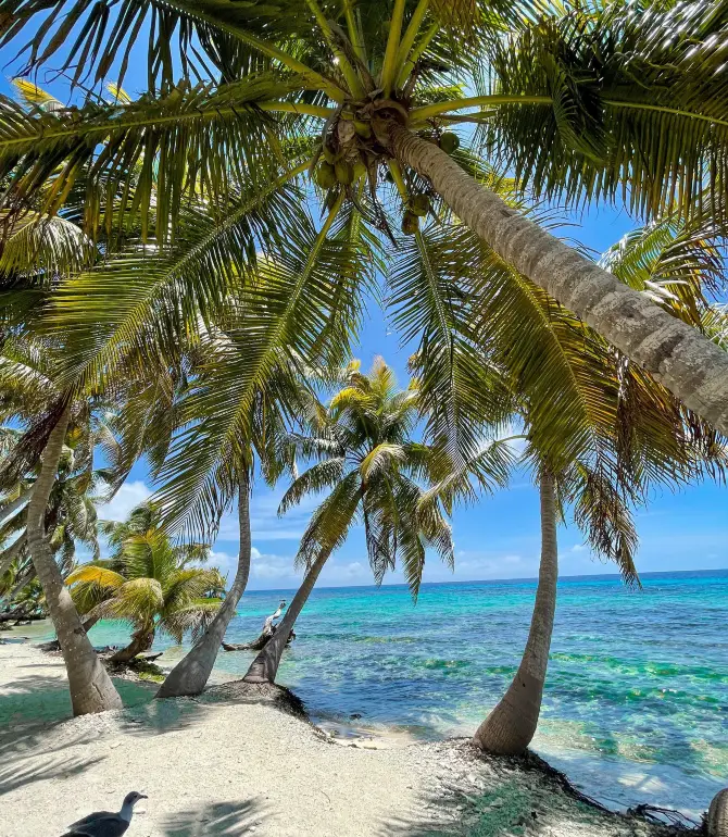 Placencia