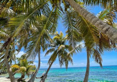 Placencia